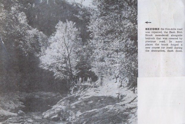 Falls Road After 1955 Flood