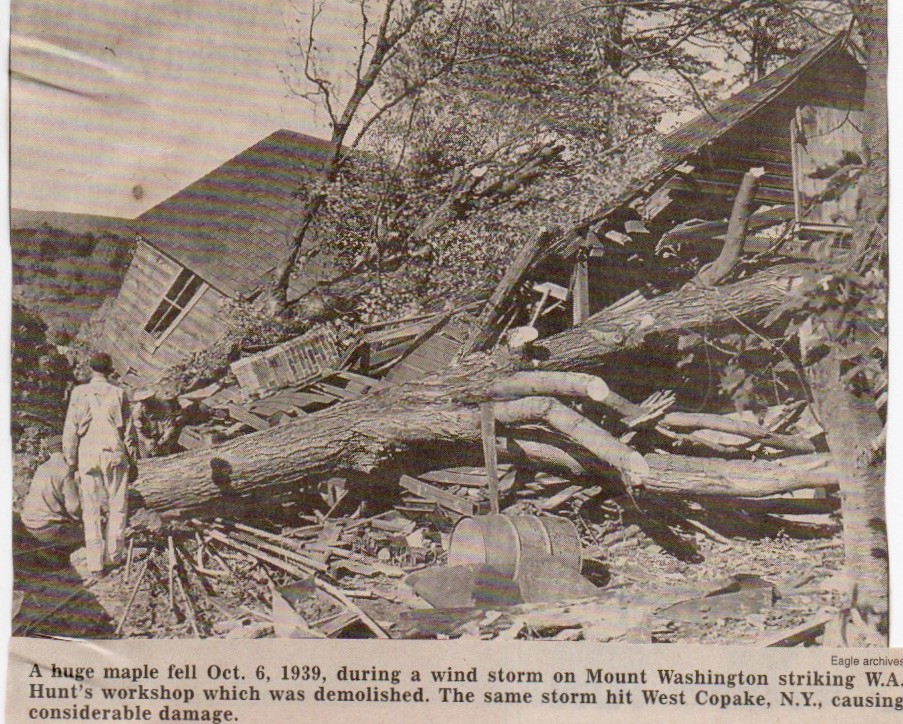 Huge Maple Hit By Wind Storm in 1939 Destroying W.A. Hunt’s Workshop