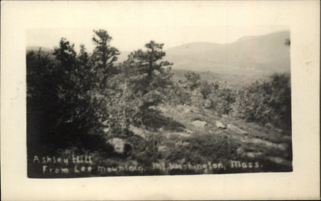 Postcard – Ashley Hill from Lee Mountain